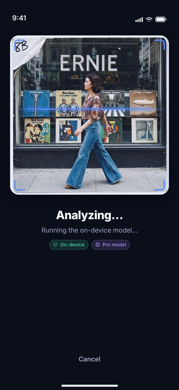 Analyzing: a scan line sweeps the photo while the on-device model runs — On-device and Pro model chips