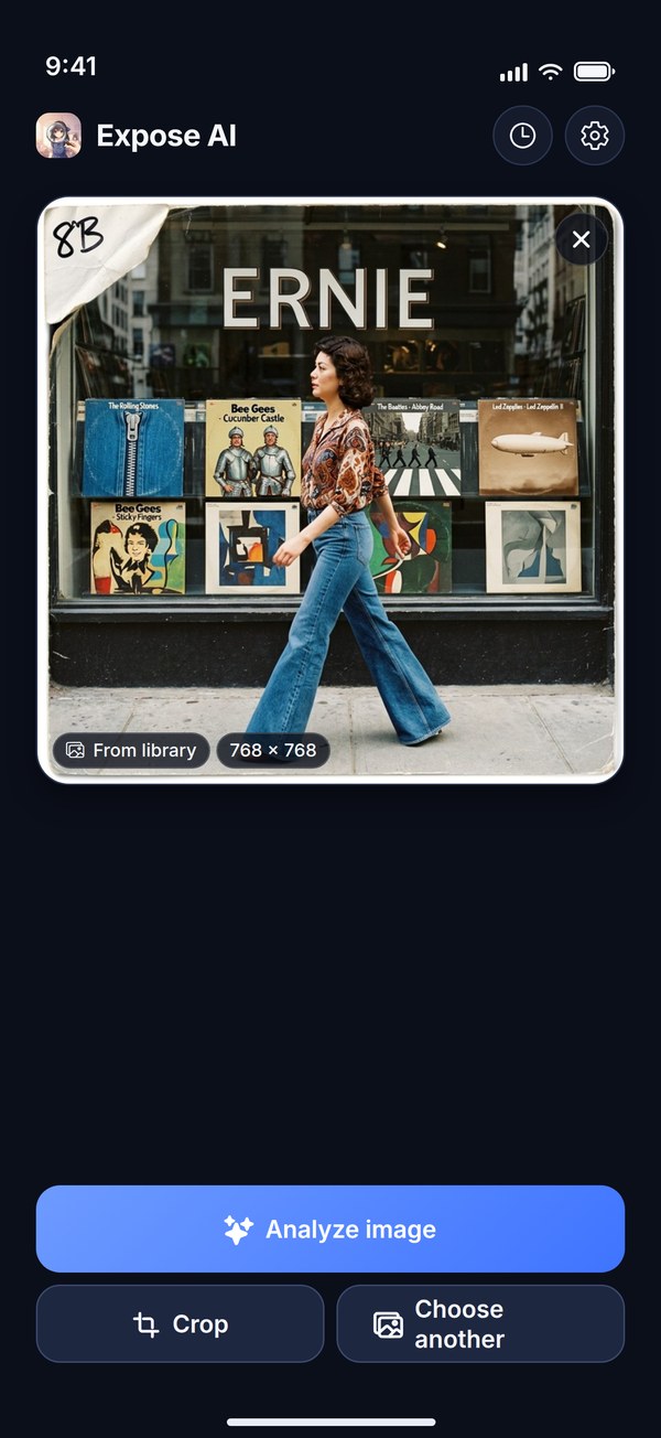 The Expose AI home screen: a selected photo with an Analyze image button, plus Crop and Choose another